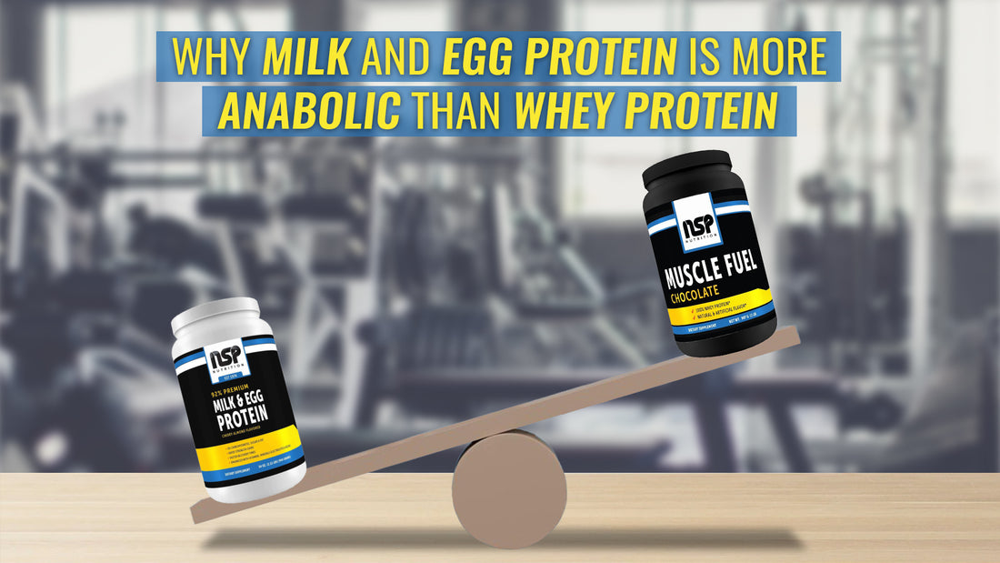 Why Milk And Egg Protein Is More Anabolic Than Whey Protein | NSP Nutrition