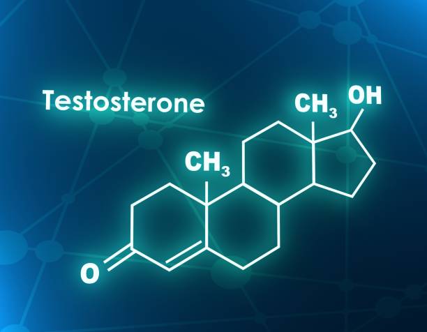 Elevate Your T-Levels: 10 Natural Testosterone Boosters to Explore