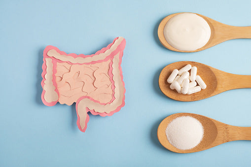 The Benefits of Probiotics: The Amazing World of Your Gut Bacteria